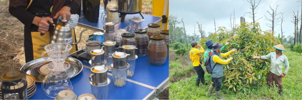 UMKM Kopi Khas Lereng Gunung Arjuno (foto kiri). Pendampingan Petani Alpukat Binaan UT (foto kanan).